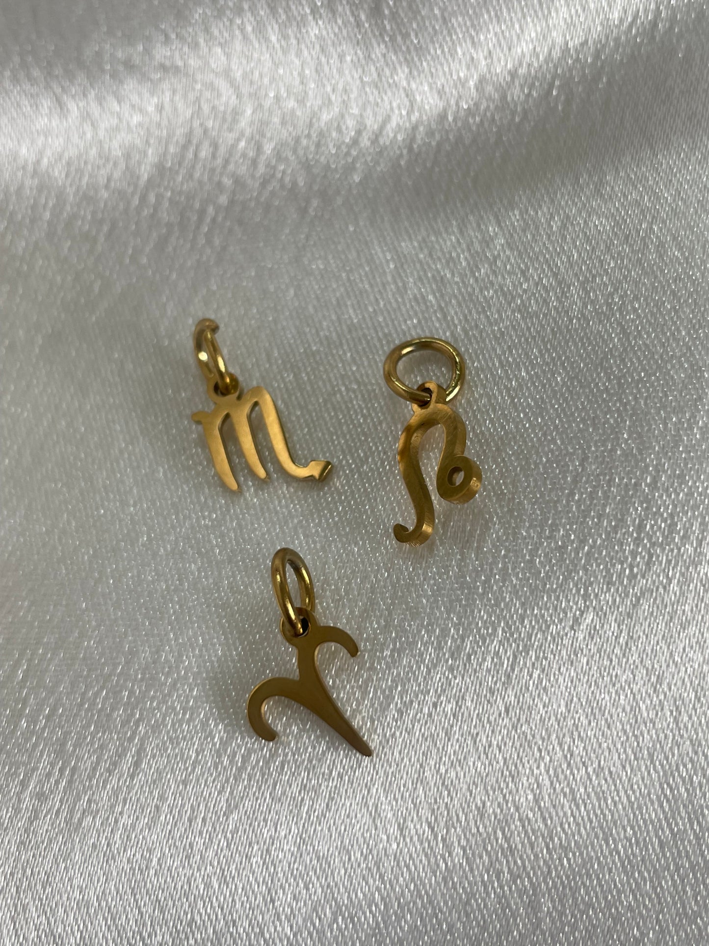 Zodiac sign charm